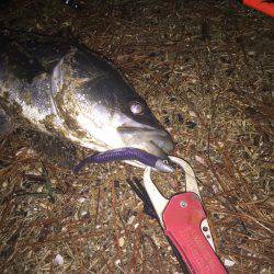 酷寒ウェーディングでなんとか1本